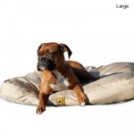 Why Chew-Proof Dog Beds are Worth Every Penny