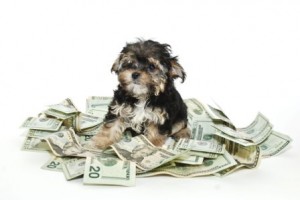 Cost of Owning a Dog