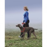 easy walk harness review