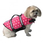 pink dog lifejacket