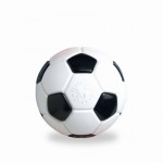 Looking for a Dog Proof Soccer Ball?