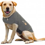 Review on the ThunderShirt