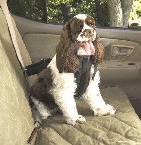 Pet Vehicle Safety Harness 62295