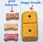 Comparing Dog Treat Calories