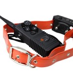 TaoTronics Dog Training Collar: TT-PT10 Dog Training Collar Review