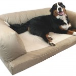 Orthopedic-foam dog bed couch