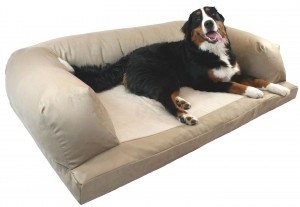 Orthopedic-foam dog bed couch