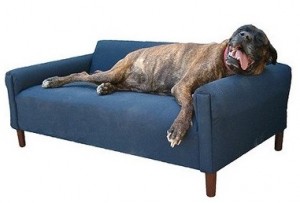 biomedic dog couch (2)