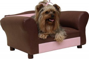 mini small dog sofa