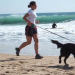 3 Free Activities You Can Do With Your Dog