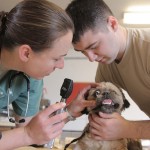 Doggie Dialogue: Making Vet Visits More Manageable