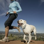 4 Ways to Exercise High-Energy Dogs While Keeping You Active