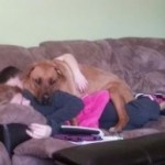 Rosco laying on mommy