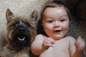 friendship-as-told-by-babies-and-their-dogs-1-29392-1378505807-2_big