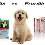 FRONTLINE PLUS VS K9 ADVANTIX: WHAT IS THE BEST FLEA MEDICINE?