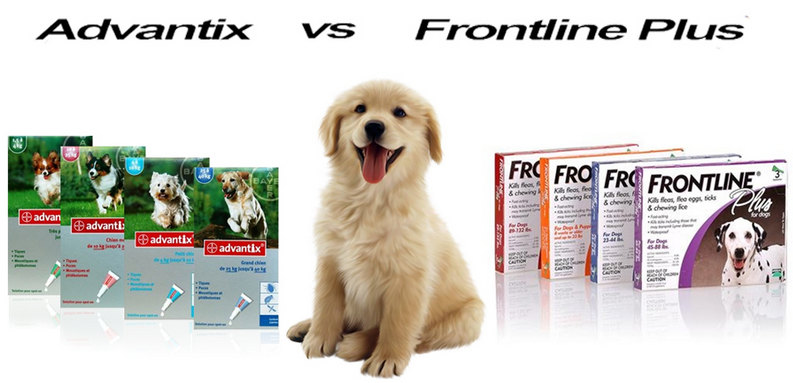 Advantix vs. Frontline Plus