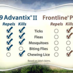 Frontline Plus vs K9 Advantix