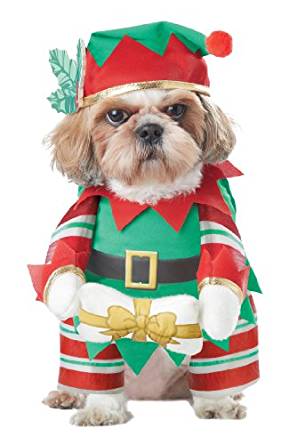 dog-elf-costume