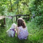 5 Universal Responsibilities of Dog Owners