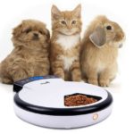 TD Design Automatic Pet Feeder for Dogs & Cats