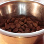 Should I Clean my Dog’s Food and Water Bowls?