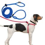 Product Review:  Harness Lead