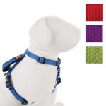 Product Review:  KONG Comfort Control Grip Harness