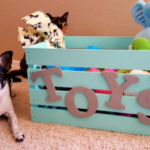 diy dog toy box