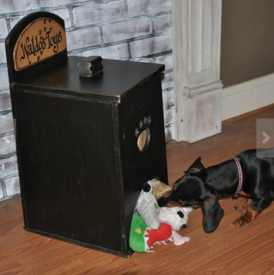 8 Dog Toy Box Ideas That You Will Love