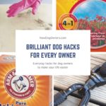 Brilliant Dog Hacks for Every Owner