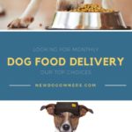 dog-food-monthly-delivery-service