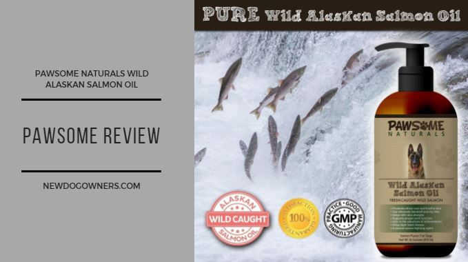 Blog Review logo for Pure Natural Wild Alaskan Salmon Oil 