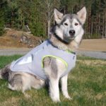 dog-cooling-vest