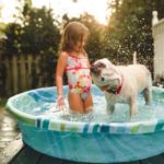 dog-kiddie-pool